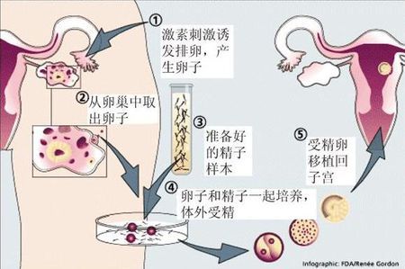 槿棠生殖中心环境